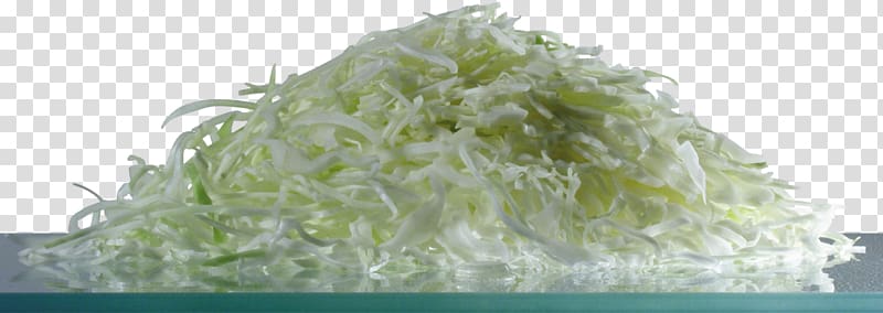 IFolder DepositFiles Brassica oleracea Archive file, green mycoplasma transparent background PNG clipart