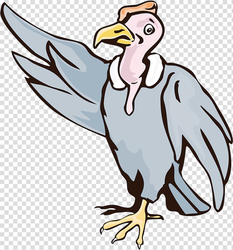 Turkey vulture Gyps Illustration, Wave goodbye transparent background PNG clipart