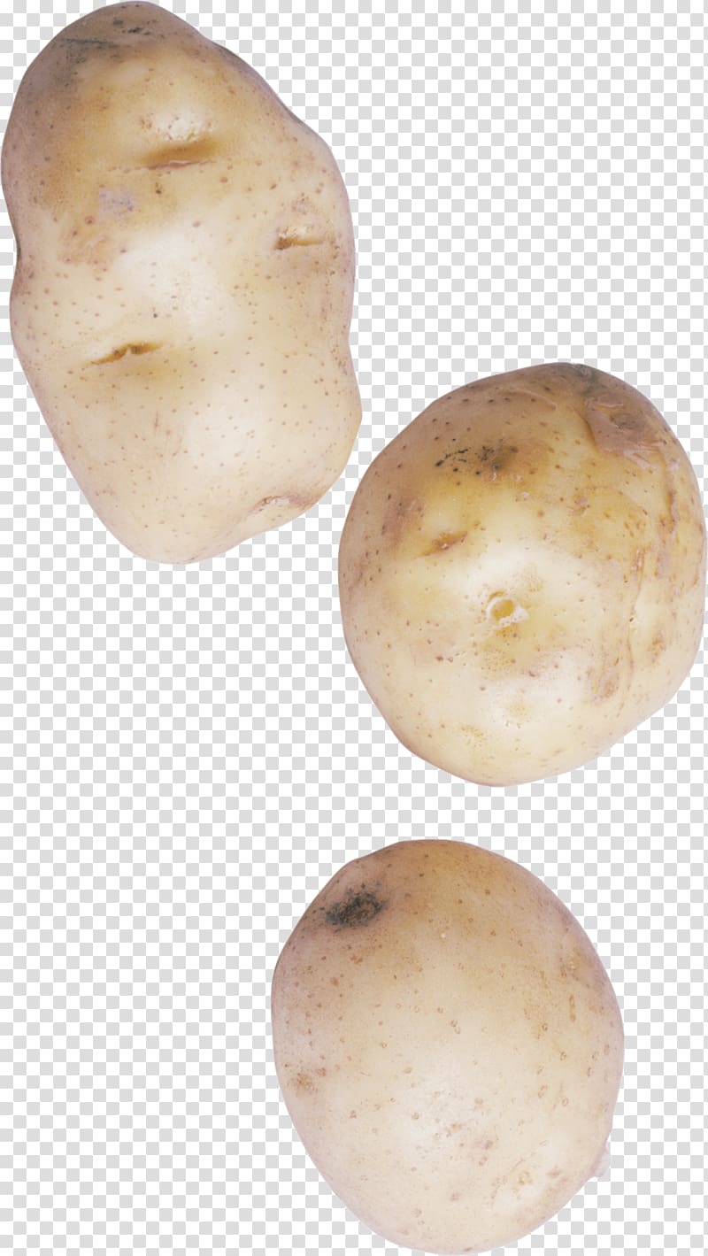 Russet burbank potato Yukon Gold potato Tuber Root Vegetables, vegetable transparent background PNG clipart