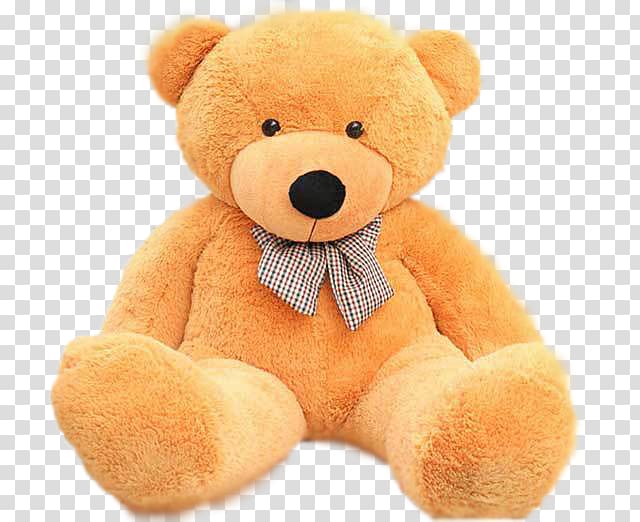 Teddy bear transparent background PNG clipart