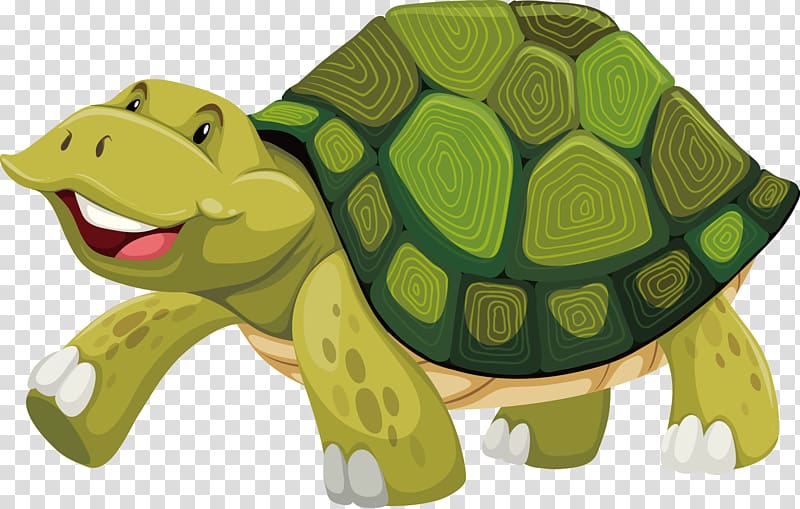 Turtle shell Illustration, Turtle transparent background PNG clipart