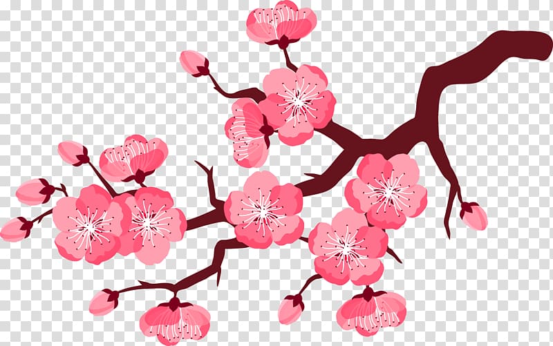 Cherry blossom Flower , Pink plum blossom transparent background PNG clipart