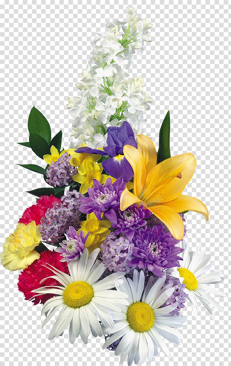 Best borders Frames Purple Flower, chrysanthemum transparent background PNG clipart