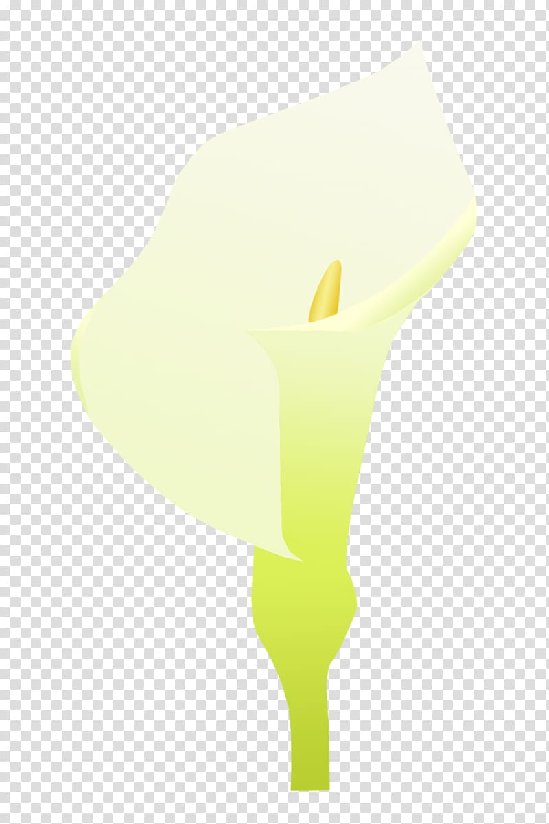 Yellow Font, Blooming calla lily transparent background PNG clipart