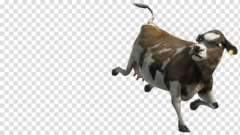 Goat Baka Taurine cattle Live Horn, goat transparent background PNG clipart