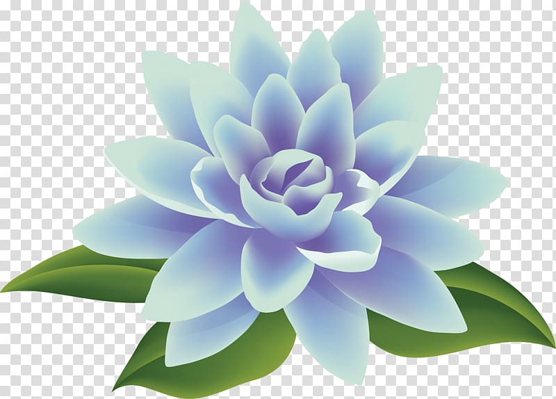 Flower bouquet , 情人节玫瑰 flower transparent background PNG clipart
