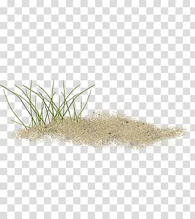 a grass with a pile of sand transparent background PNG clipart
