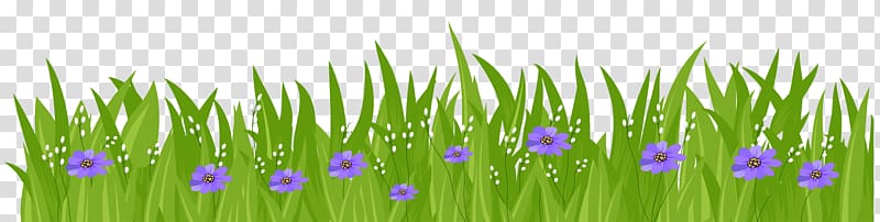 green grass and purple flowers illustration, Flower Grasses , Grass with Purple Flowers transparent background PNG clipart