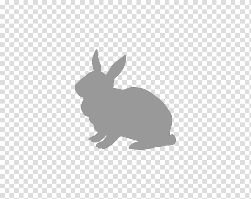 Domestic rabbit Hare Lionhead rabbit Easter Bunny, rabbit transparent background PNG clipart