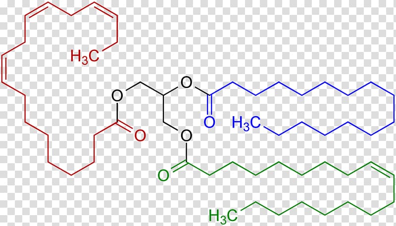 Triglyceride Fat Lipid Structural formula Structure, formula 1 transparent background PNG clipart