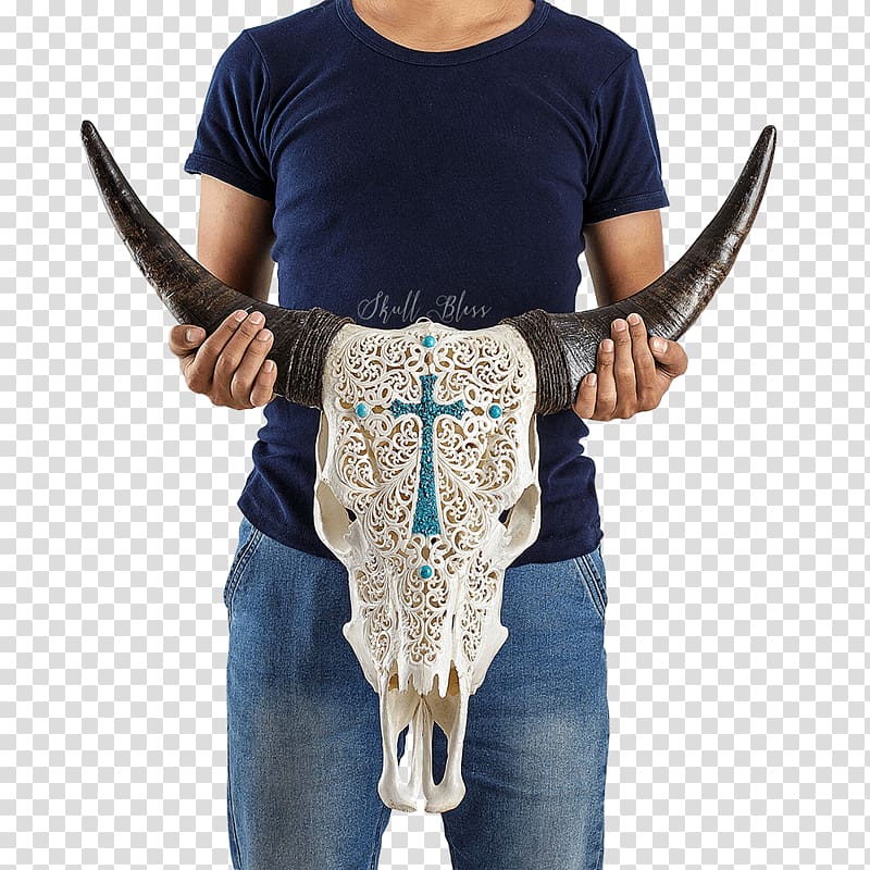 XL Horns Skull Cattle Neck, bull skull transparent background PNG clipart