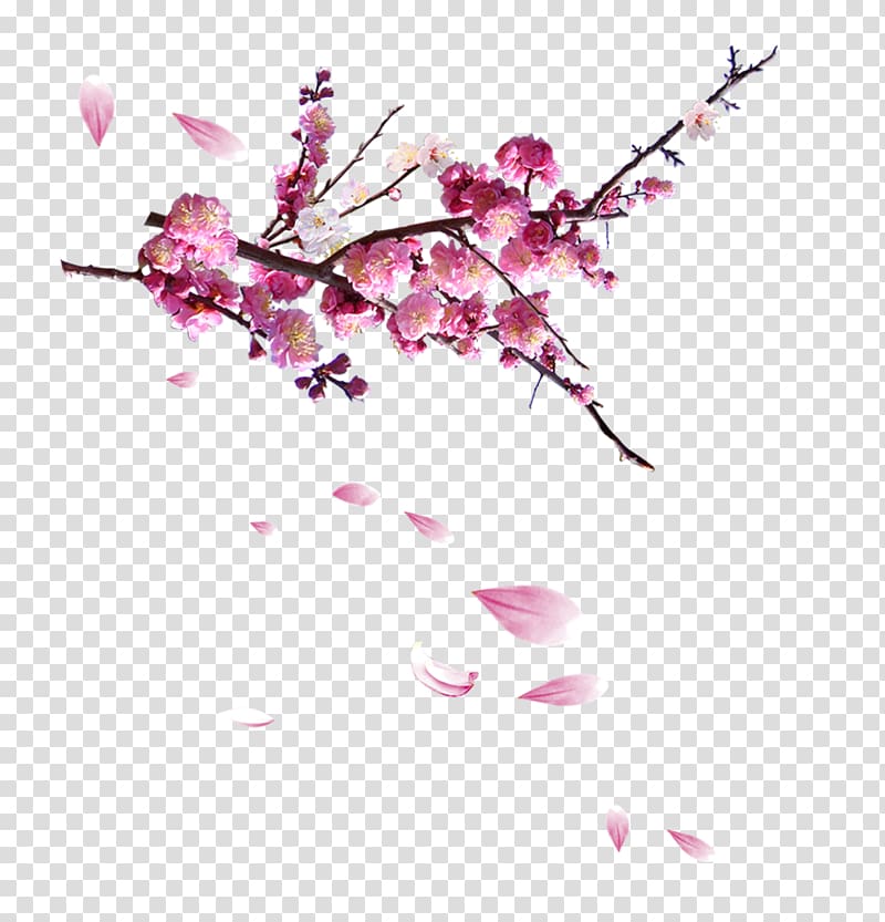 Chinoiserie Poster Fundal, Apricot leaves transparent background PNG clipart