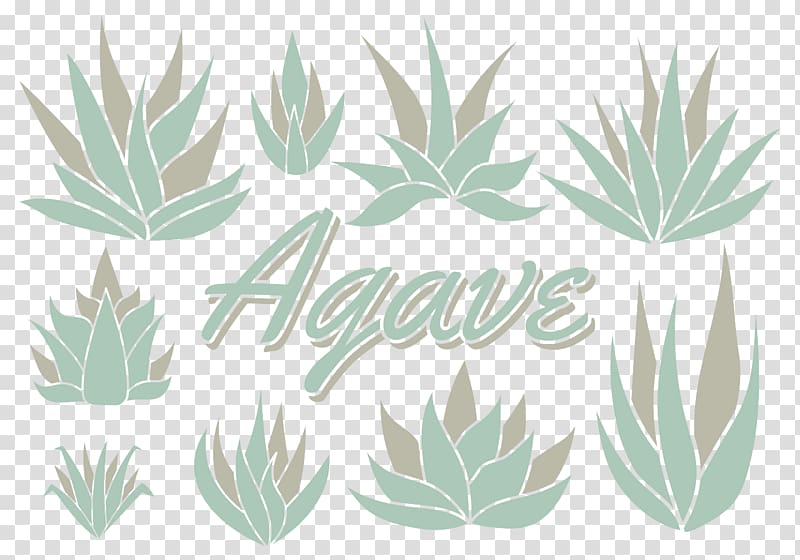 Aloe vera Agave azul Agave vilmoriniana Tequila, Aloe plant transparent background PNG clipart