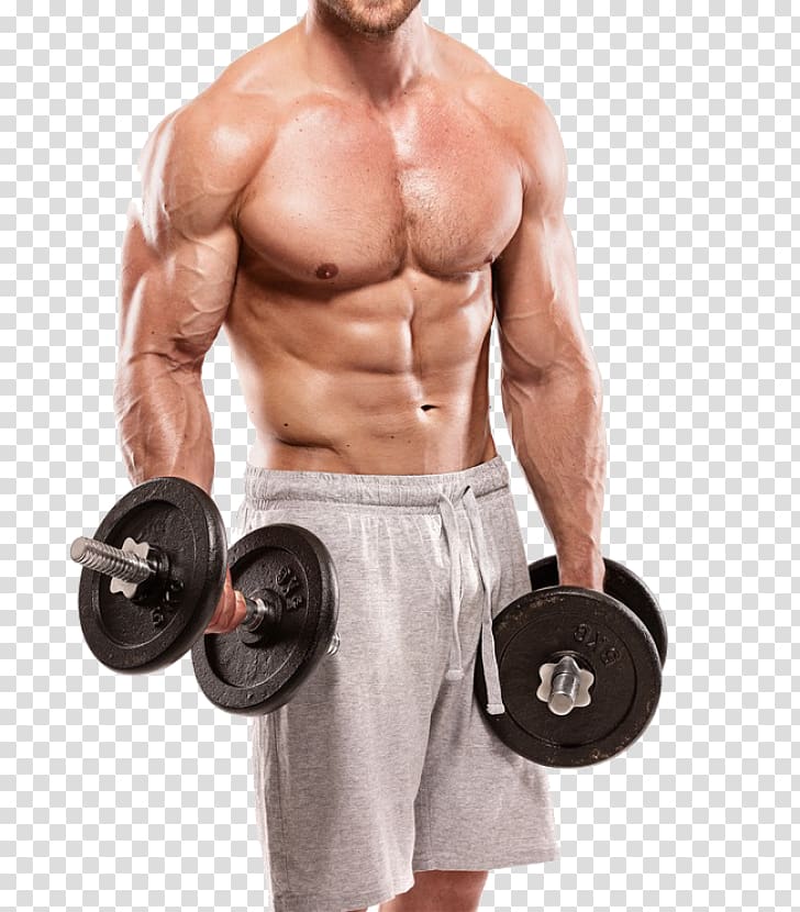 Exercise Weight training Fitness Centre Bodybuilding Physical fitness, bodybuilding transparent background PNG clipart