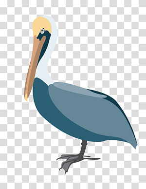 Pelican graphics Portable Network Graphics , black pelican kitty hawk bathroom transparent background PNG clipart thumbnail