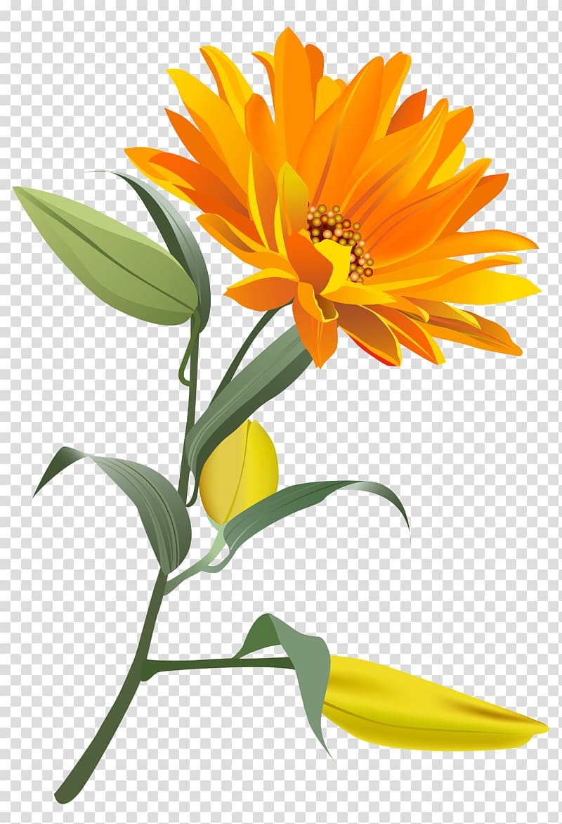 yellow sunflower illustration, Flower , Orange Flower transparent background PNG clipart