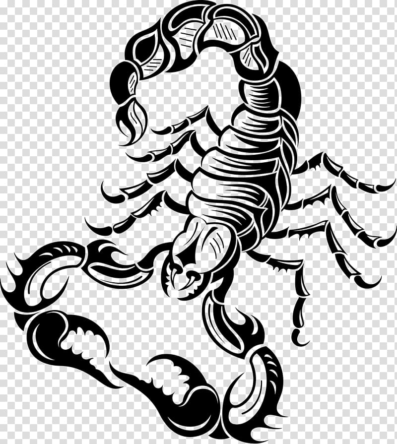 Scorpion Illustration, Tattoo transparent background PNG clipart