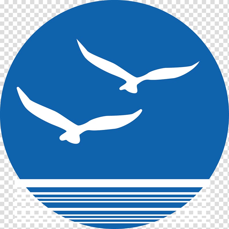 Bird Euclidean , Sea Gulls clip transparent background PNG clipart