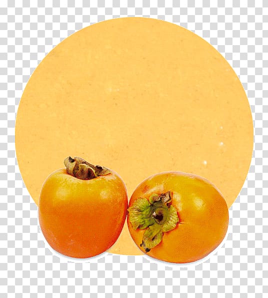 Persimmon Apple juice Concentrate Orange, persimmon transparent background PNG clipart