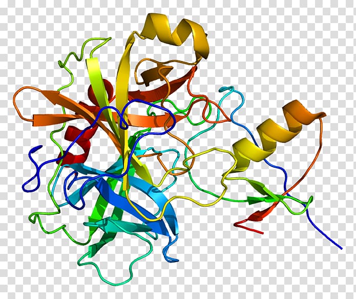 Homology modeling Protein structure prediction, Diabetes Mellitus transparent background PNG clipart