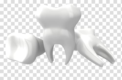 Teeth transparent background PNG clipart