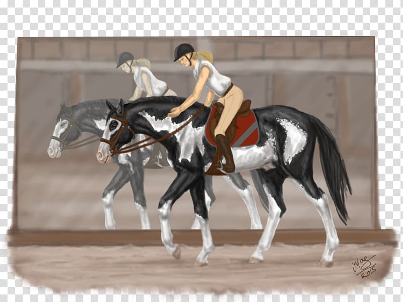 Western pleasure Stallion Rein Mustang Mare, well done! transparent background PNG clipart