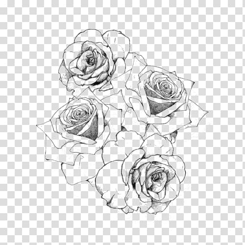 White rose flower illustration, Tattoo Black rose Drawing, hand drawn  flowers, leaf, branch, monochrome png | PNGWing