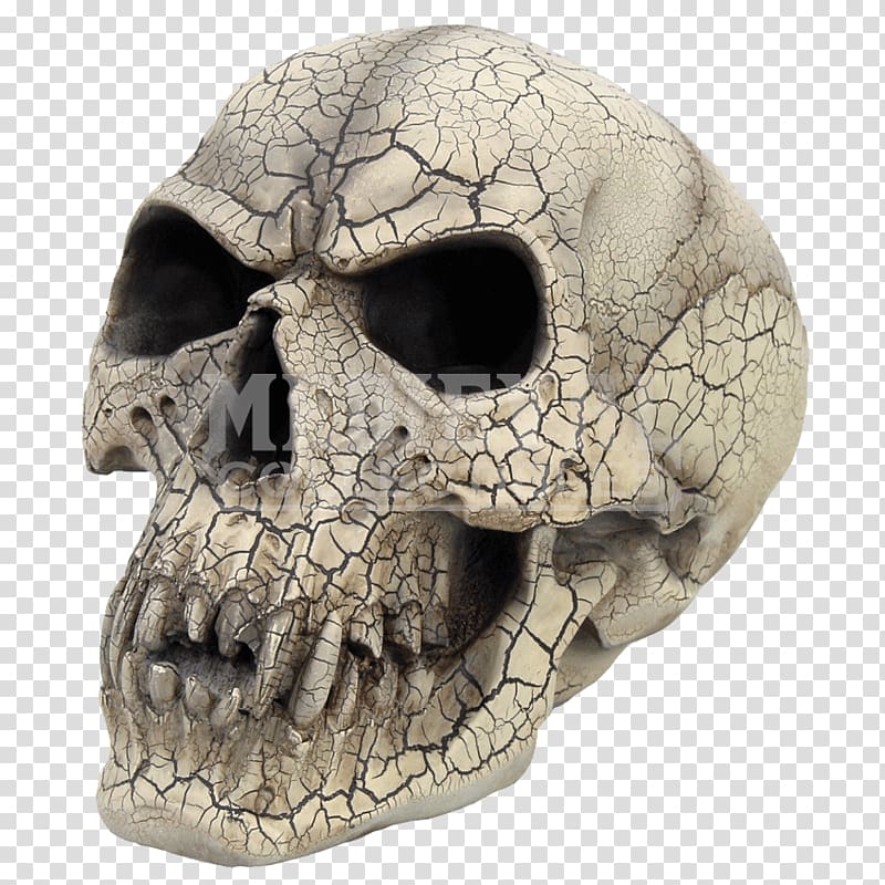 Skull Vampire Human skeleton Gothic fashion Head, Vampire transparent background PNG clipart