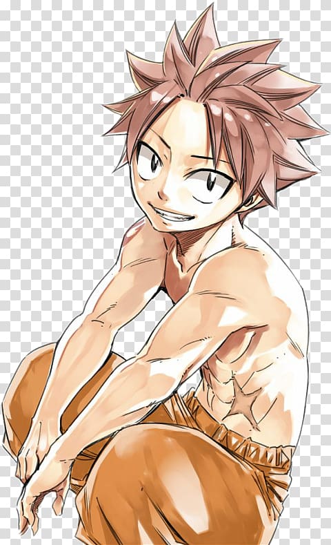 Natsu Dragneel Fairy Tail Lisanna Strauss Anime Mangaka, fairy tail transparent background PNG clipart