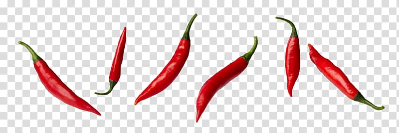 six red chili peppers, Bird's eye chili Chile de árbol Serrano pepper Tabasco pepper Cayenne pepper, thai spices transparent background PNG clipart