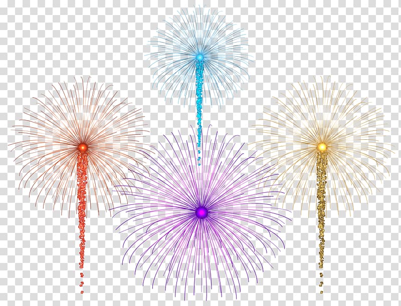 multicolored fireworks , Petal Symmetry, Fireworks for Dark transparent background PNG clipart