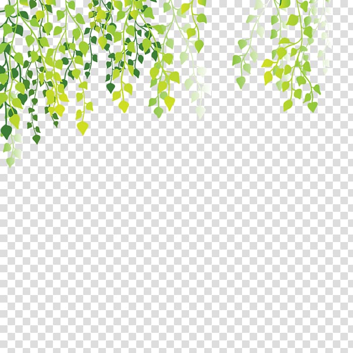 Leaf , Tender green leaves background decoration transparent background PNG clipart