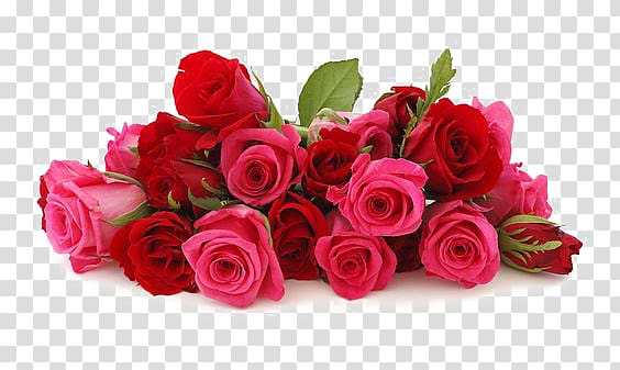 Pink flowers transparent background PNG clipart | HiClipart