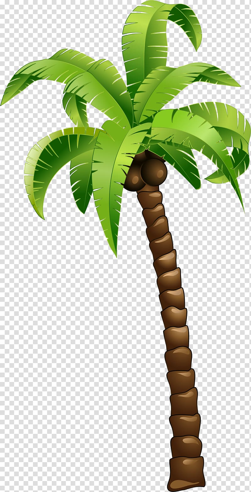 coconut tree , Coconut Tree, Cartoon green coconut tree transparent background PNG clipart