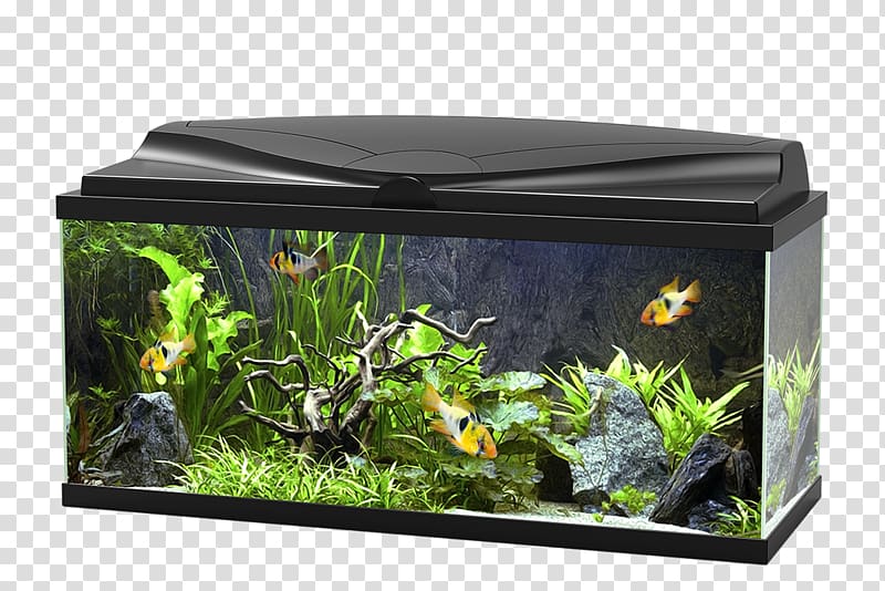 Light-emitting diode LED lamp Aquarium, Aquarium transparent background PNG clipart