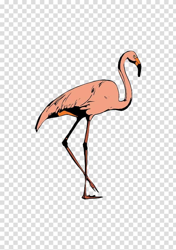 Bird Crane Greater flamingo Ciconia, Pink crane transparent background PNG clipart