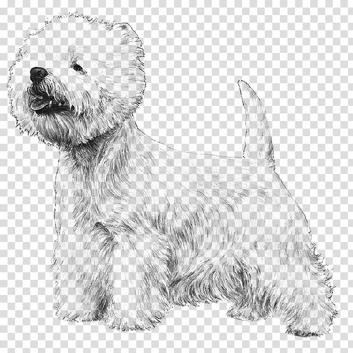 West Highland White Terrier Cairn Terrier Yorkshire Terrier Scottish Terrier Black Russian Terrier, puppy transparent background PNG clipart