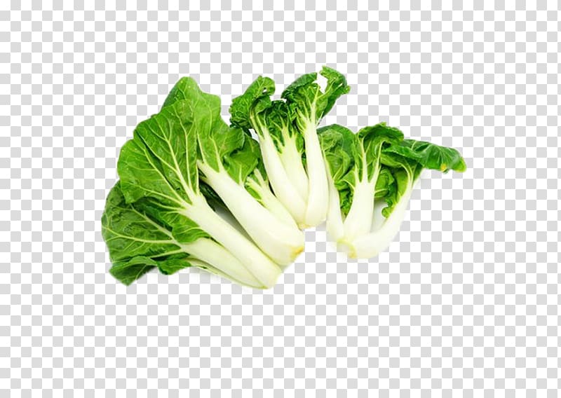 Chinese cabbage Romaine lettuce Napa cabbage Leaf vegetable, Green leafy vegetables transparent background PNG clipart