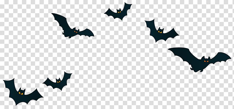 Halloween Trick-or-treating Jack-o'-lantern , Halloween Bats Decor , black bats illustration transparent background PNG clipart