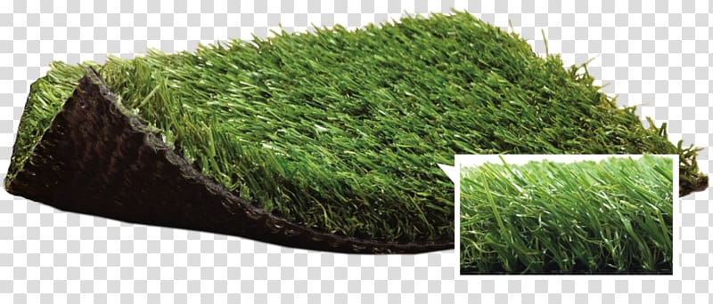 Artificial turf Lawn Garden Thatch Carpet, others transparent background PNG clipart