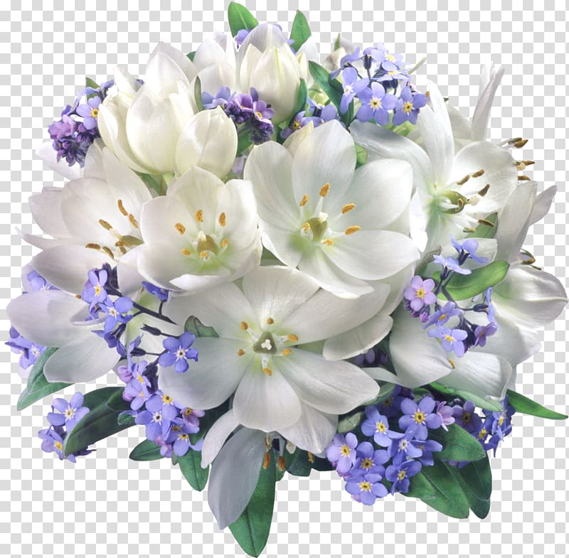 Flower bouquet Jasmine , flower wedding transparent background PNG clipart