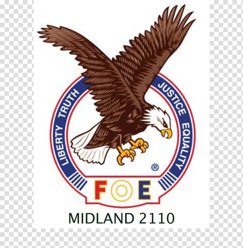 Fraternal Order of Eagles #4208 Fraternity Philadelphia Eagles, eagles logo transparent background PNG clipart