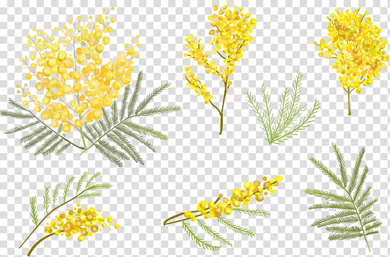 yellow petaled flower, Flower Euclidean , Small yellow flower transparent background PNG clipart