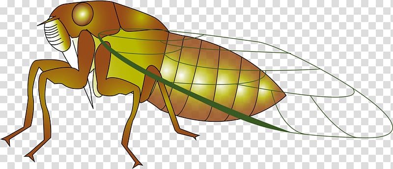 Insect Cicadas Ant , cartoon insects transparent background PNG clipart