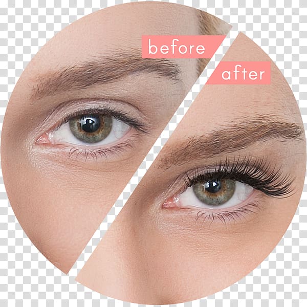 Eyelash extensions Artificial hair integrations Hairstyle, long eyelashes transparent background PNG clipart