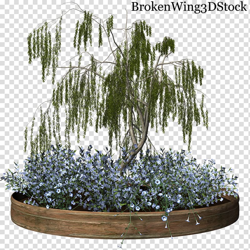 Flowerpot Flower garden Houseplant, wisteria transparent background PNG clipart