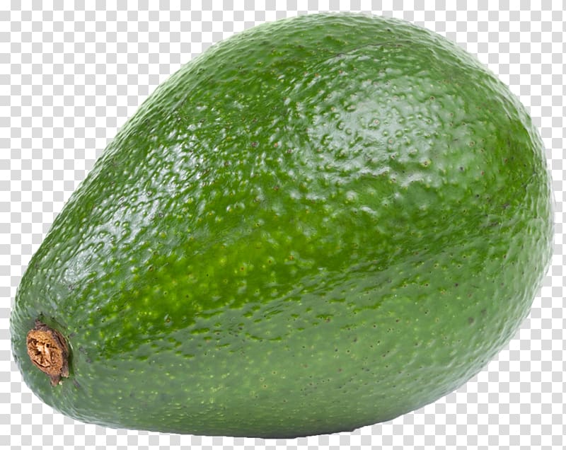 Hass avocado , Avocado transparent background PNG clipart