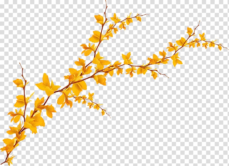 withered autumn leaves transparent background PNG clipart