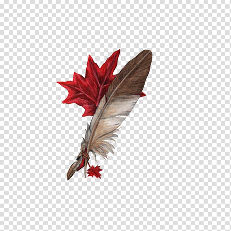 , Related feather wings transparent background PNG clipart