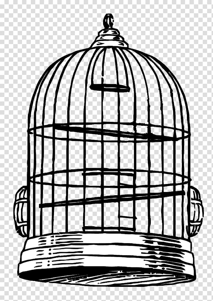 Birdcage Drawing , Bird transparent background PNG clipart